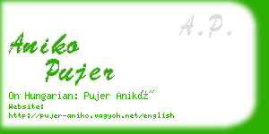 aniko pujer business card